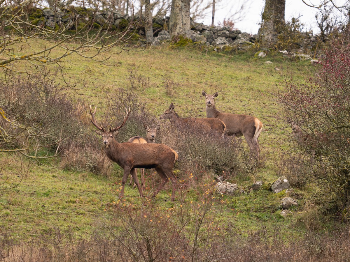 17112025-17 11 25 (3).jpg